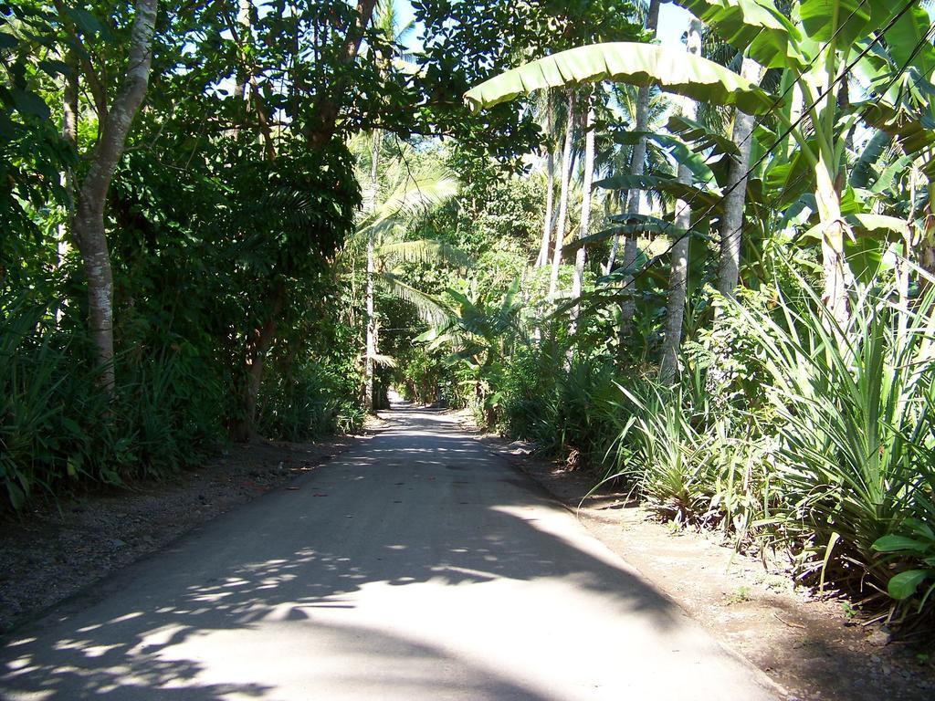 Vista Del Mar Villa Candidasa Стая снимка